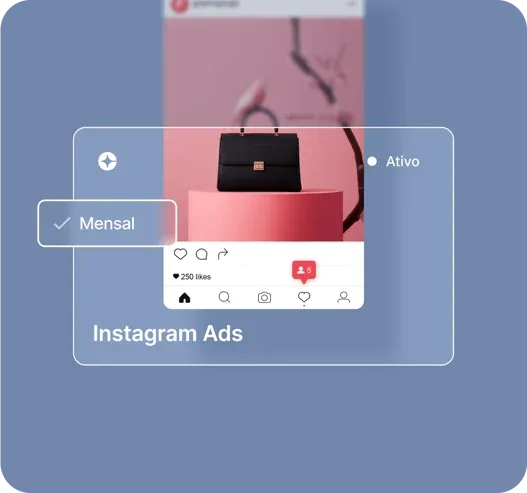 Clara — nomeie os cartoes.