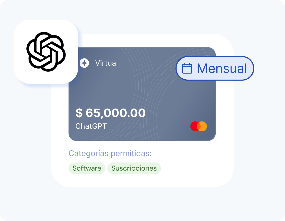 Virtual Mastercard with $65,000 balance for ChatGPT monthly software subscriptions.