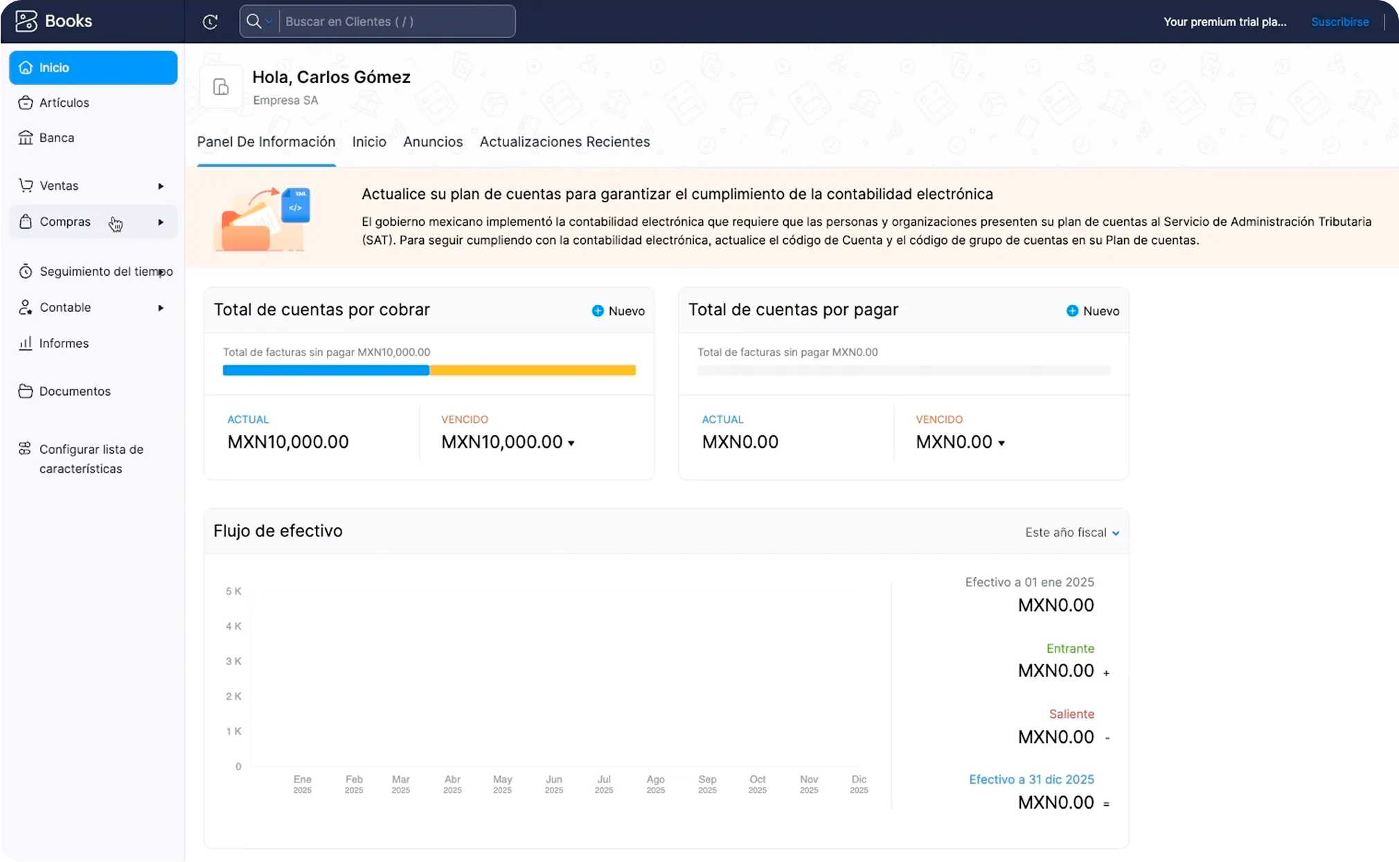 Dashboard showing accounts receivable of MXN10,000 and accounts payable of MXN0 with cash flow chart for 2025.