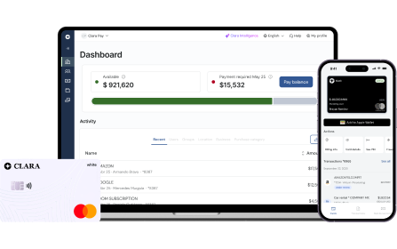 Clara expense control interface