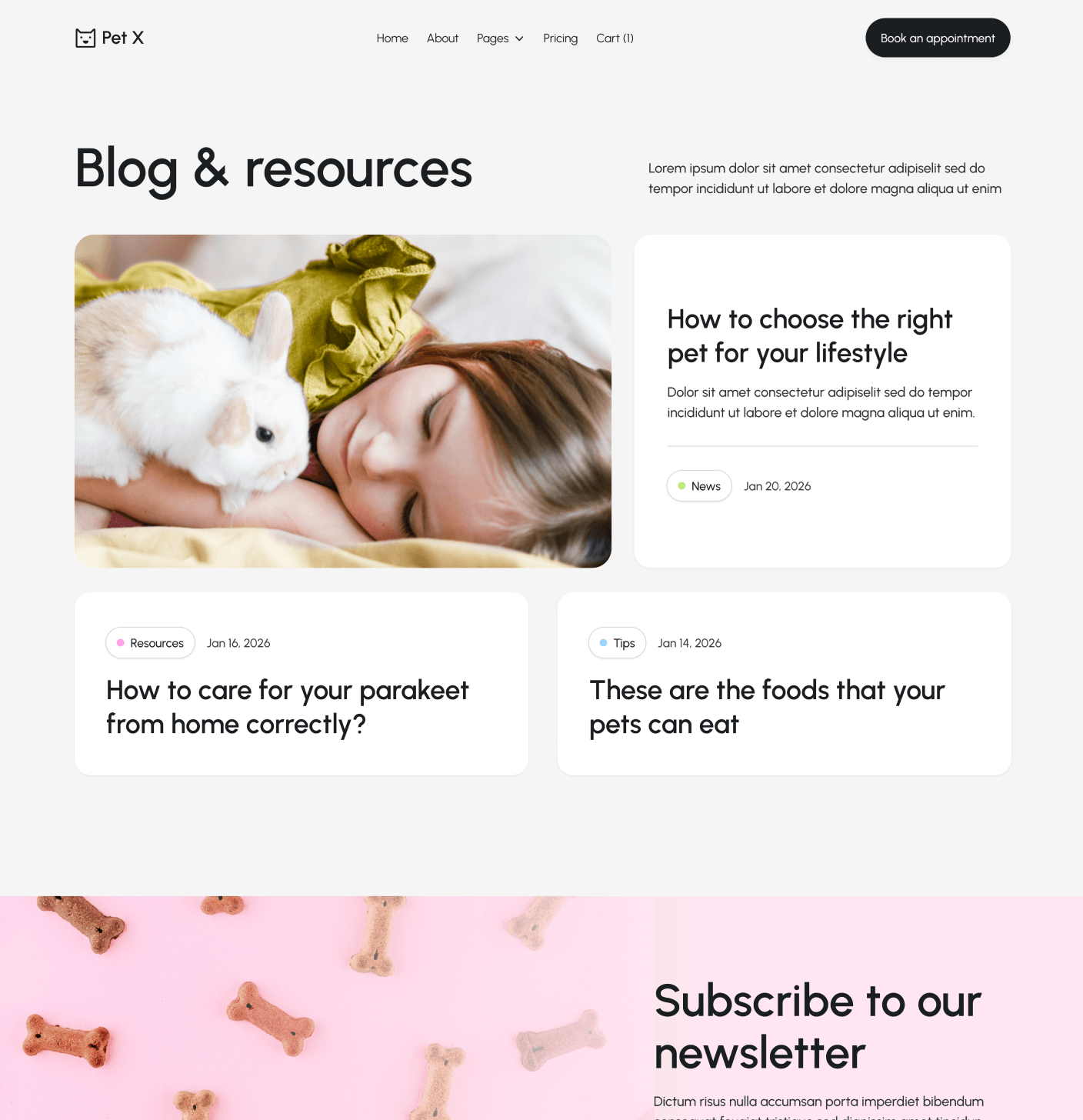 Pet X Blog V2 Main Page Veterinary Webflow Template