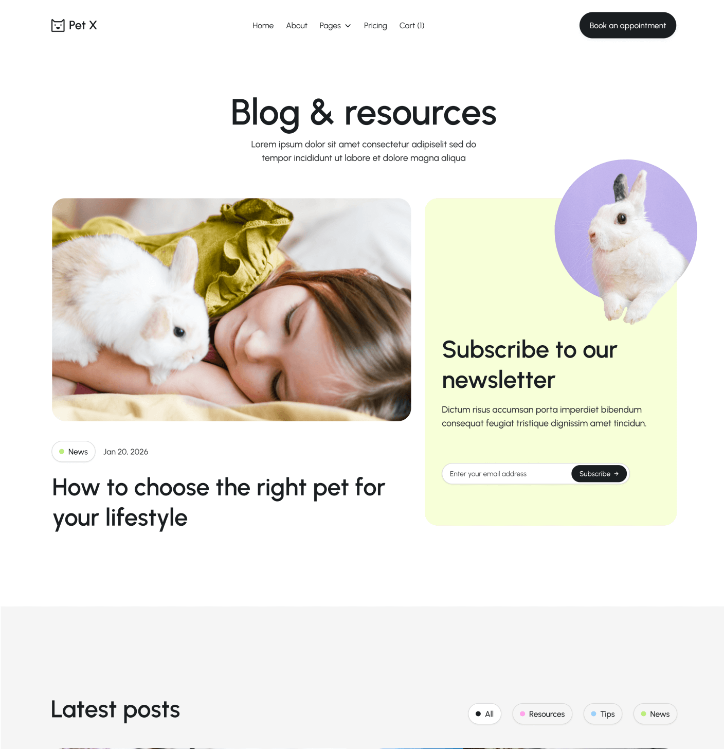 Pet X Blog V3 Main Page Veterinary Webflow Template