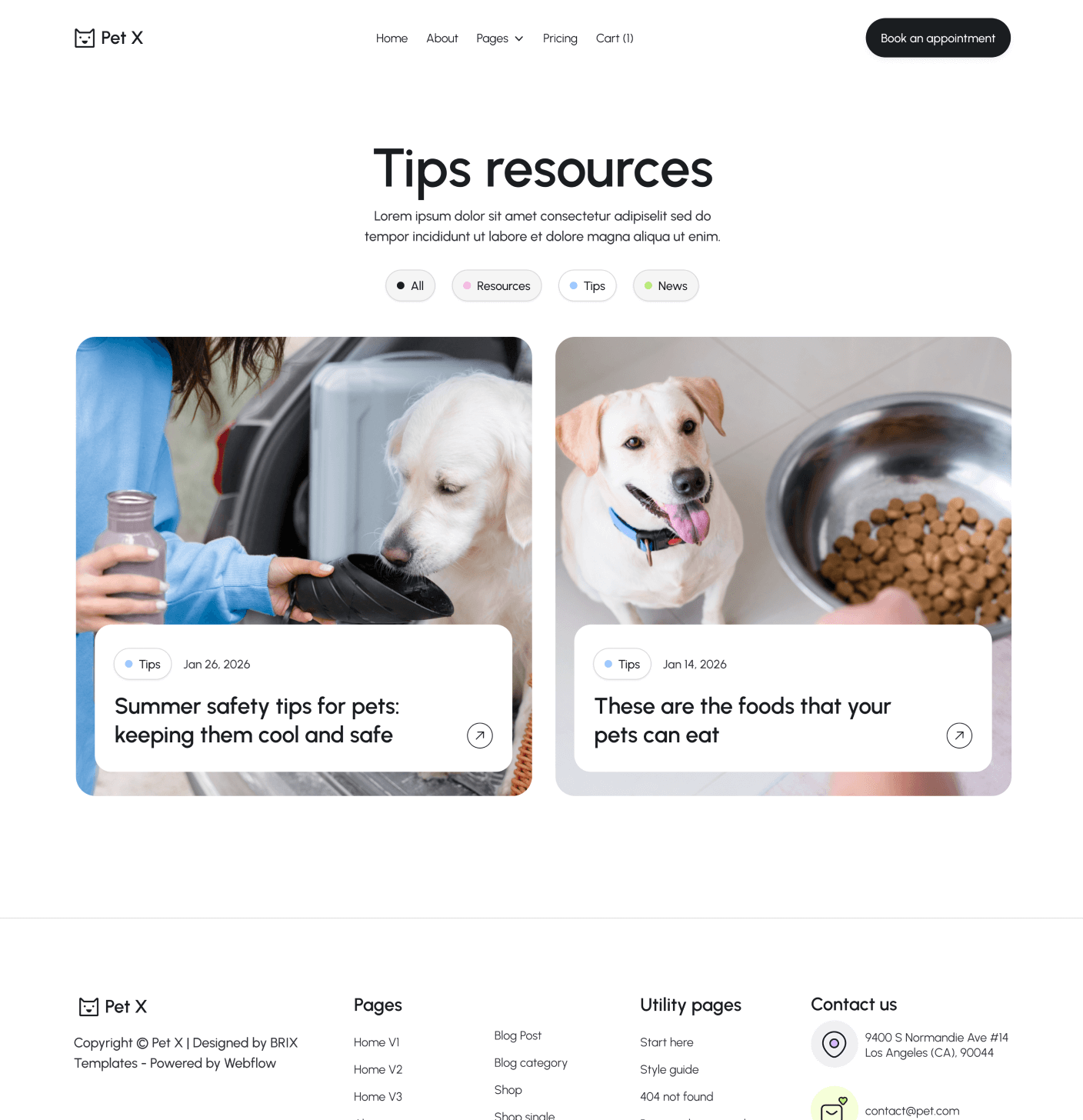Pet X Blog Categories Main Page Veterinary Webflow Template
