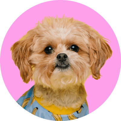 Milla Collins Avatar Image - Pet X Webflow Template