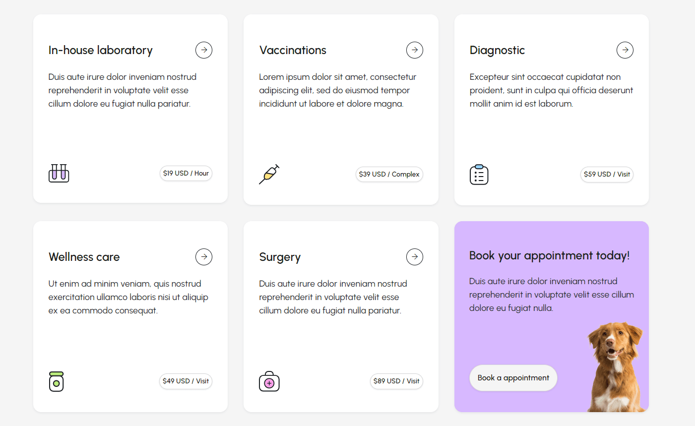 Pet X - Webflow Template And UI Kit Icons And Graphics