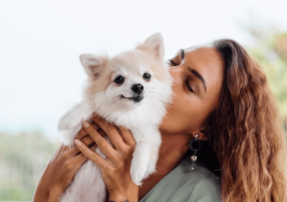 Freepik Gallery Three - Pet X Webflow Template