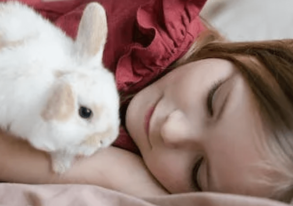 Pexels Gallery Three - Pet X Webflow Template