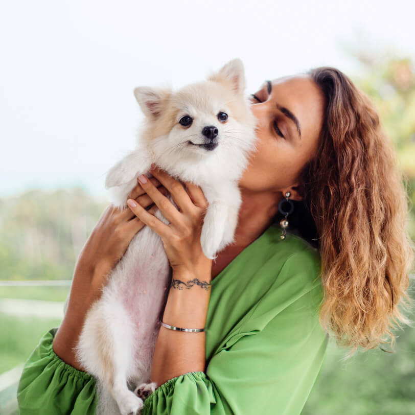 Instagram - Pet X Webflow Template