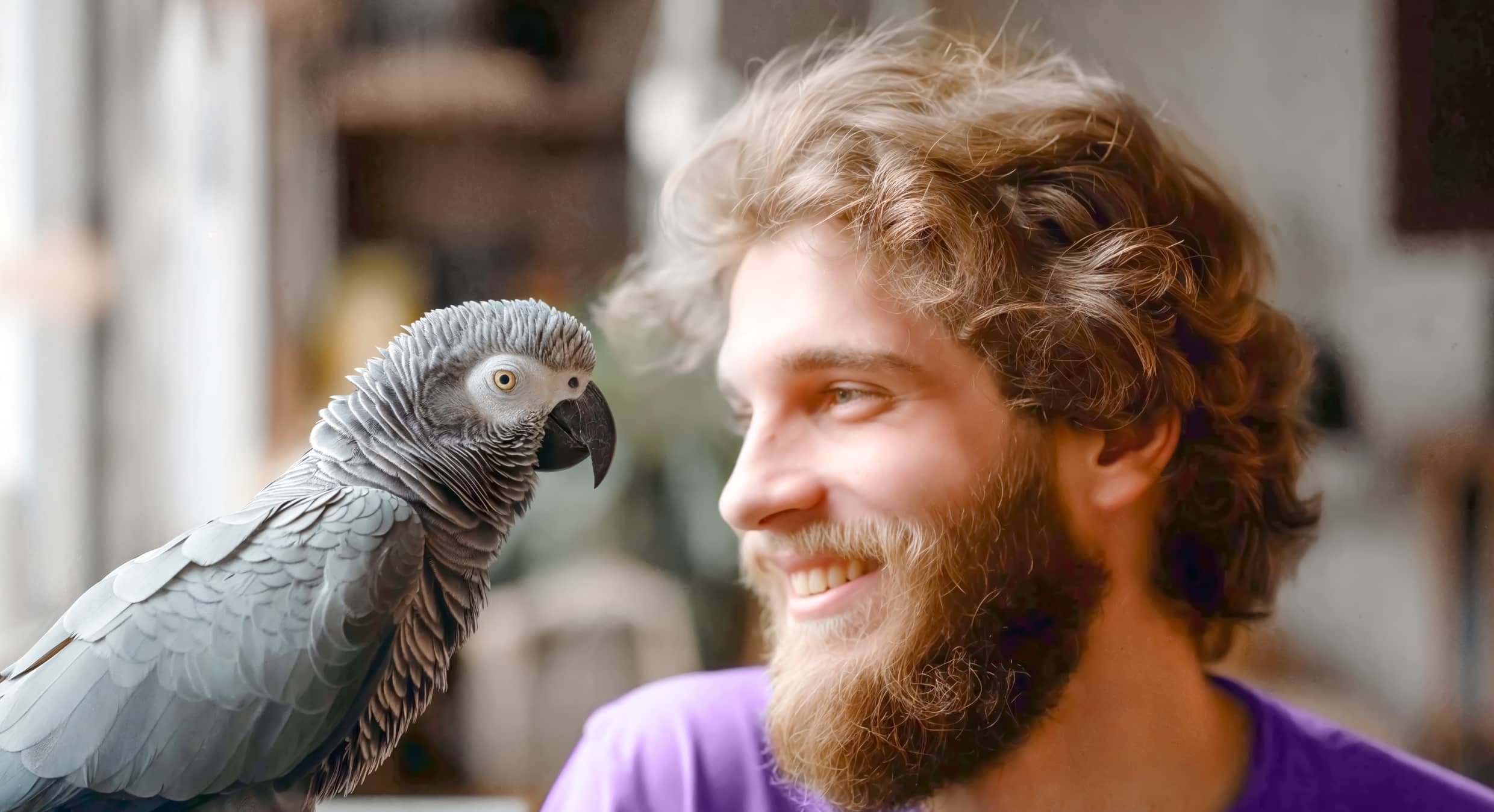 How to care for your parakeet from home correctly?