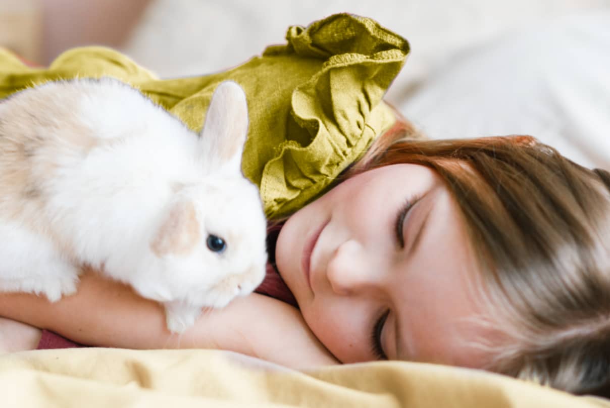 How to choose the right pet for your lifestyle