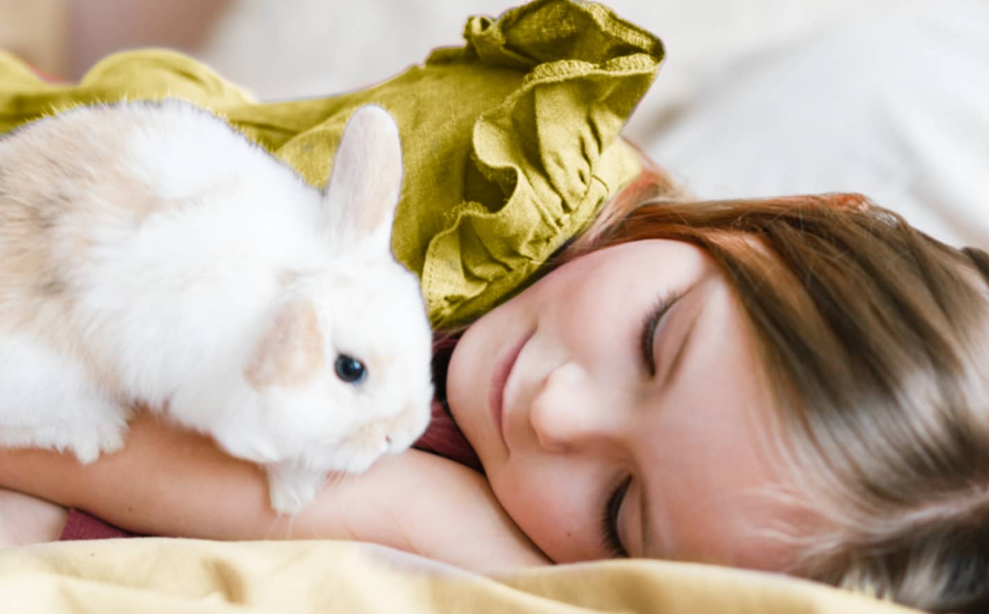 How to choose the right pet for your lifestyle