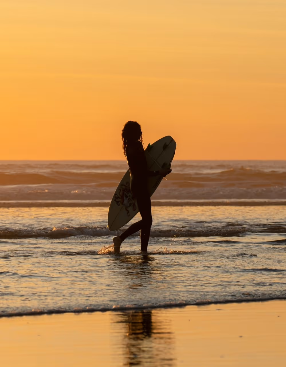 Silhouette of a surfer holding a surfboard walking in shallow water during sunset.