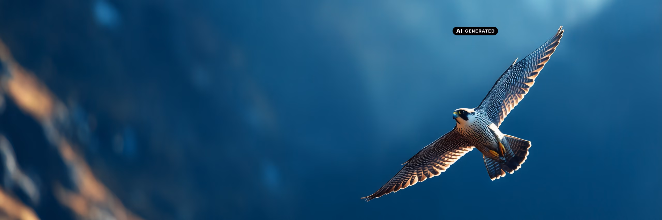 Falke - Bildmotiv für die Innovabee Newsletter-Seite