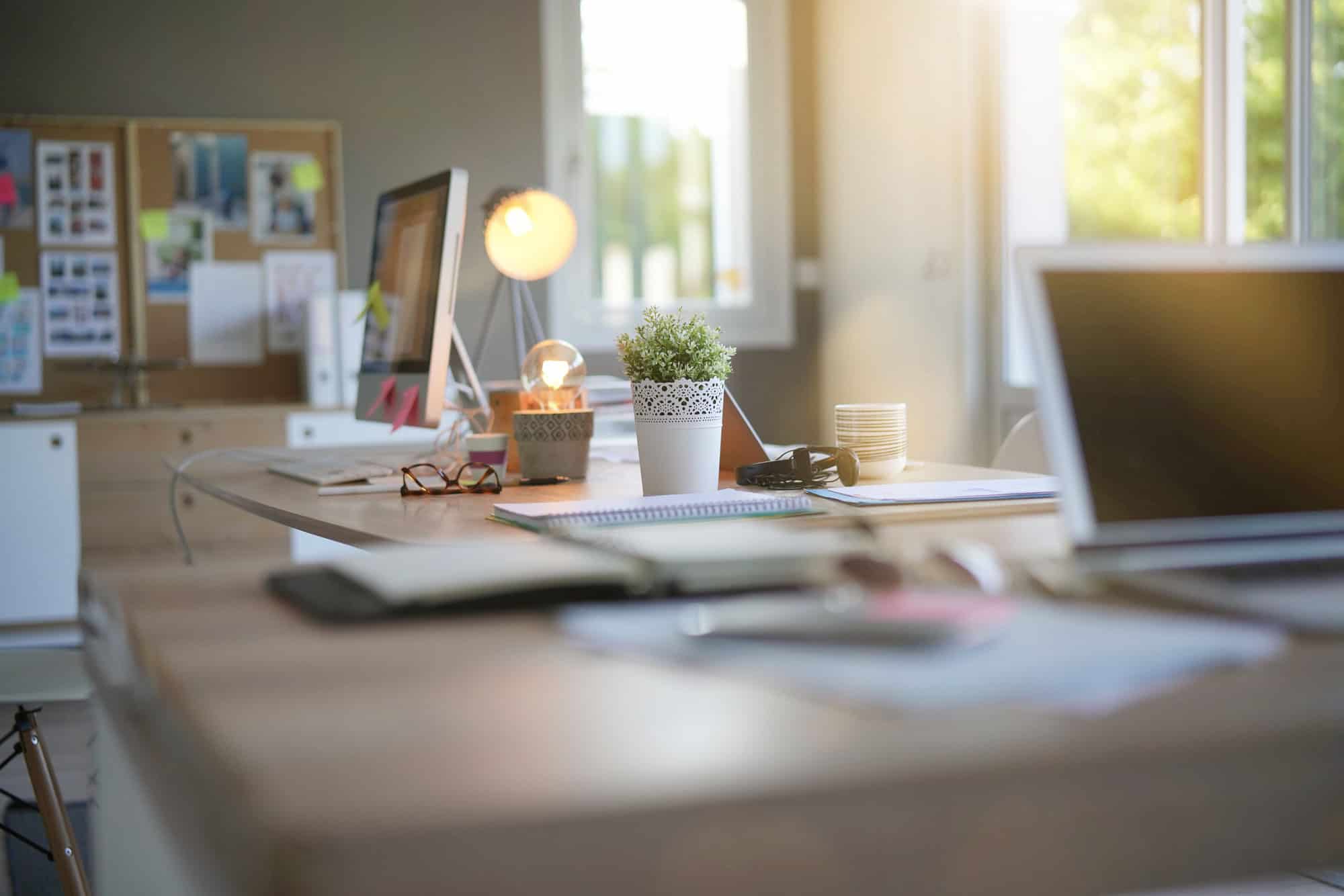 Bright modern office workspace with computers, a desk lamp, and a plant