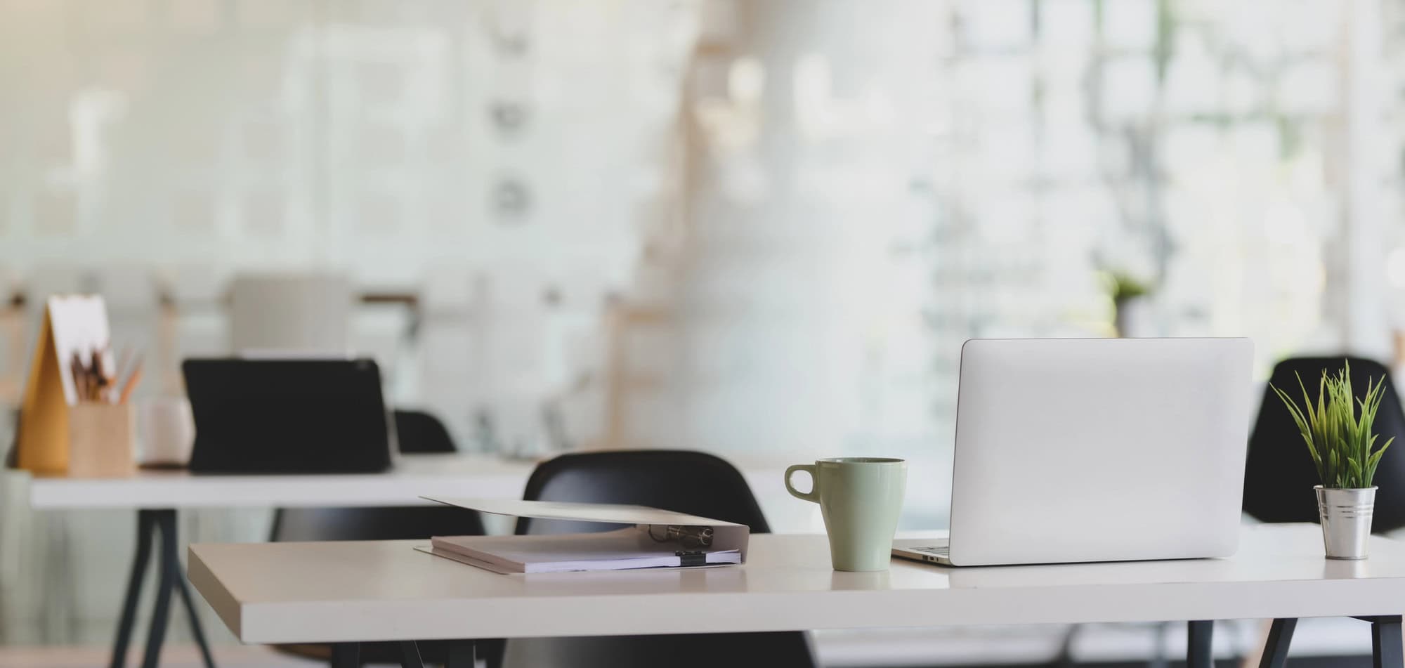 Bright, tidy office workspace with an open laptop, coffee mug, and a small plant on a white desk
