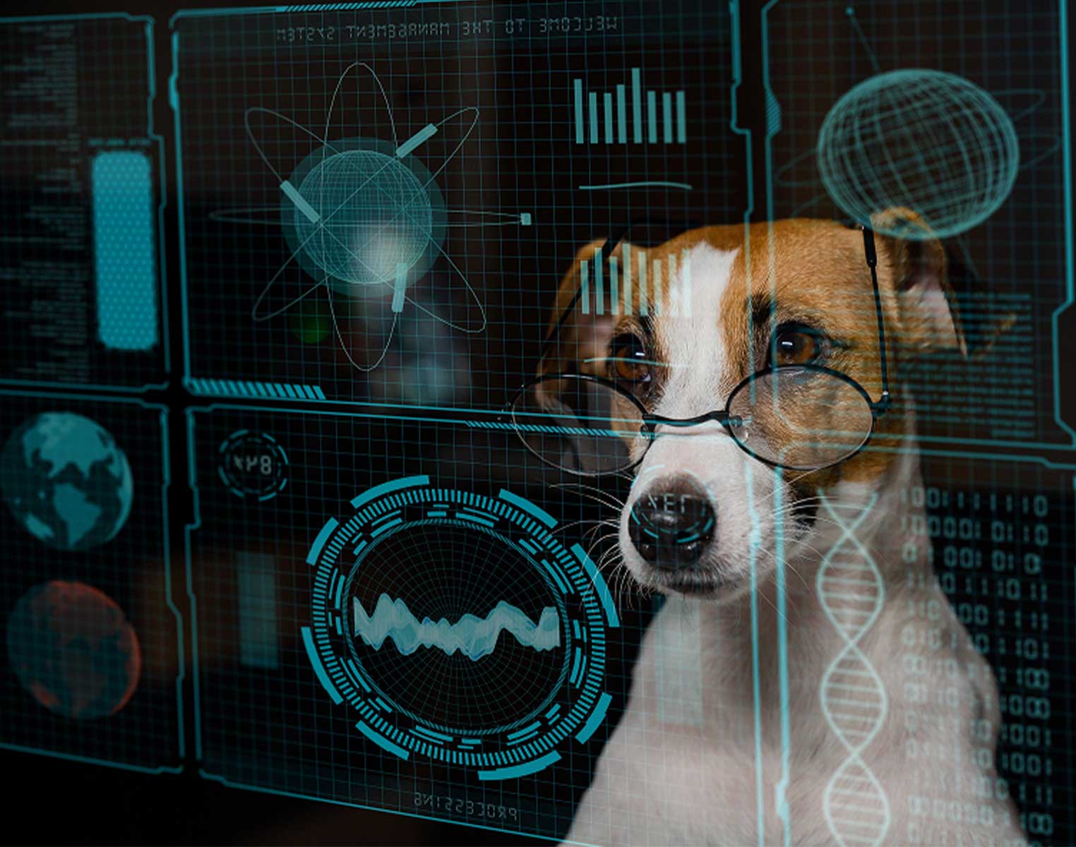 Brown and white dog wearing glasses with futuristic digital science graphics overlay.