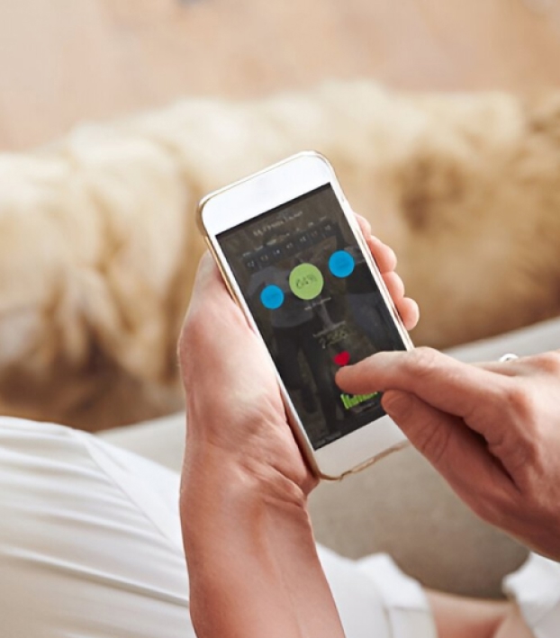 Person using a smartphone app to monitor a pet's health with a blurred dog in the background.