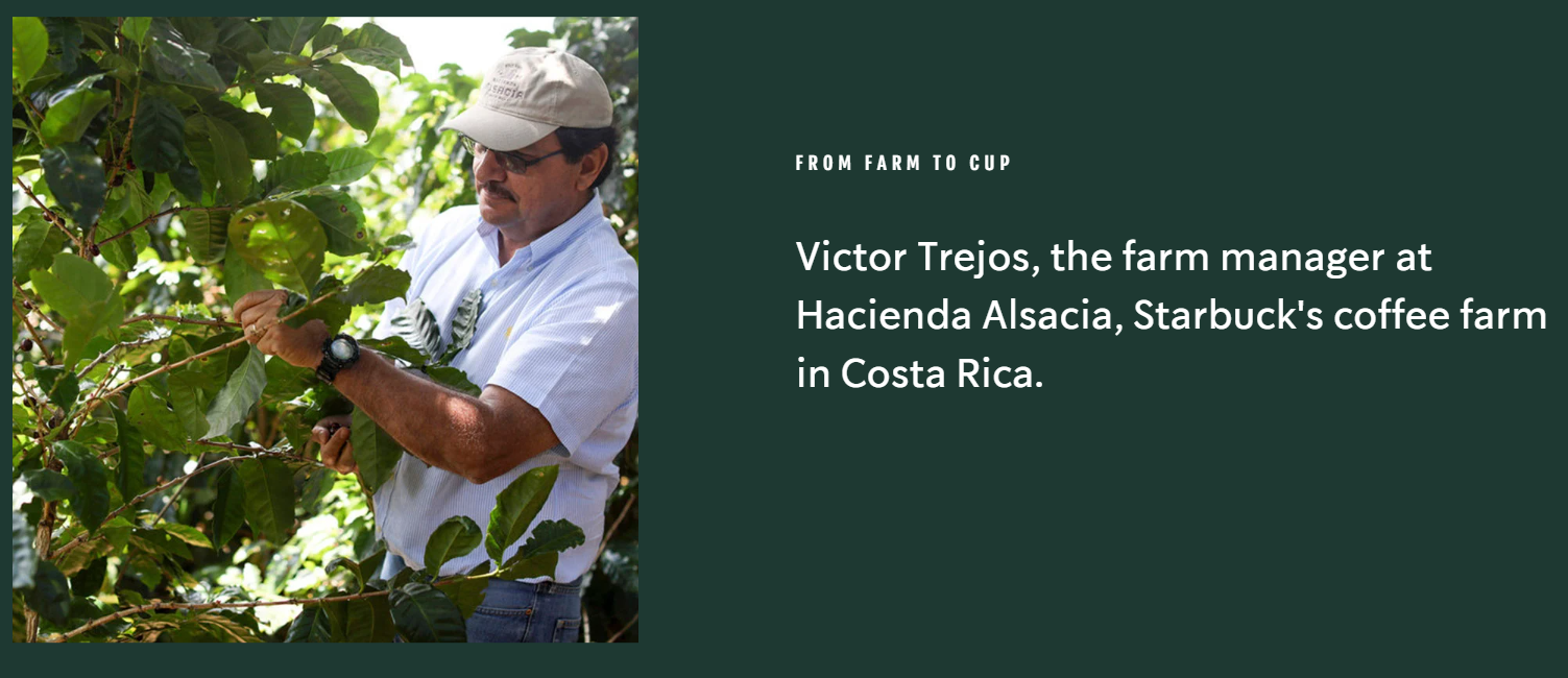 Starbucks coffee origins SQO Marketing  