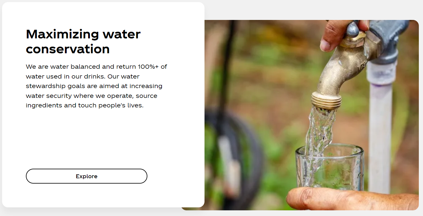 Dasani website page SQO Marketing