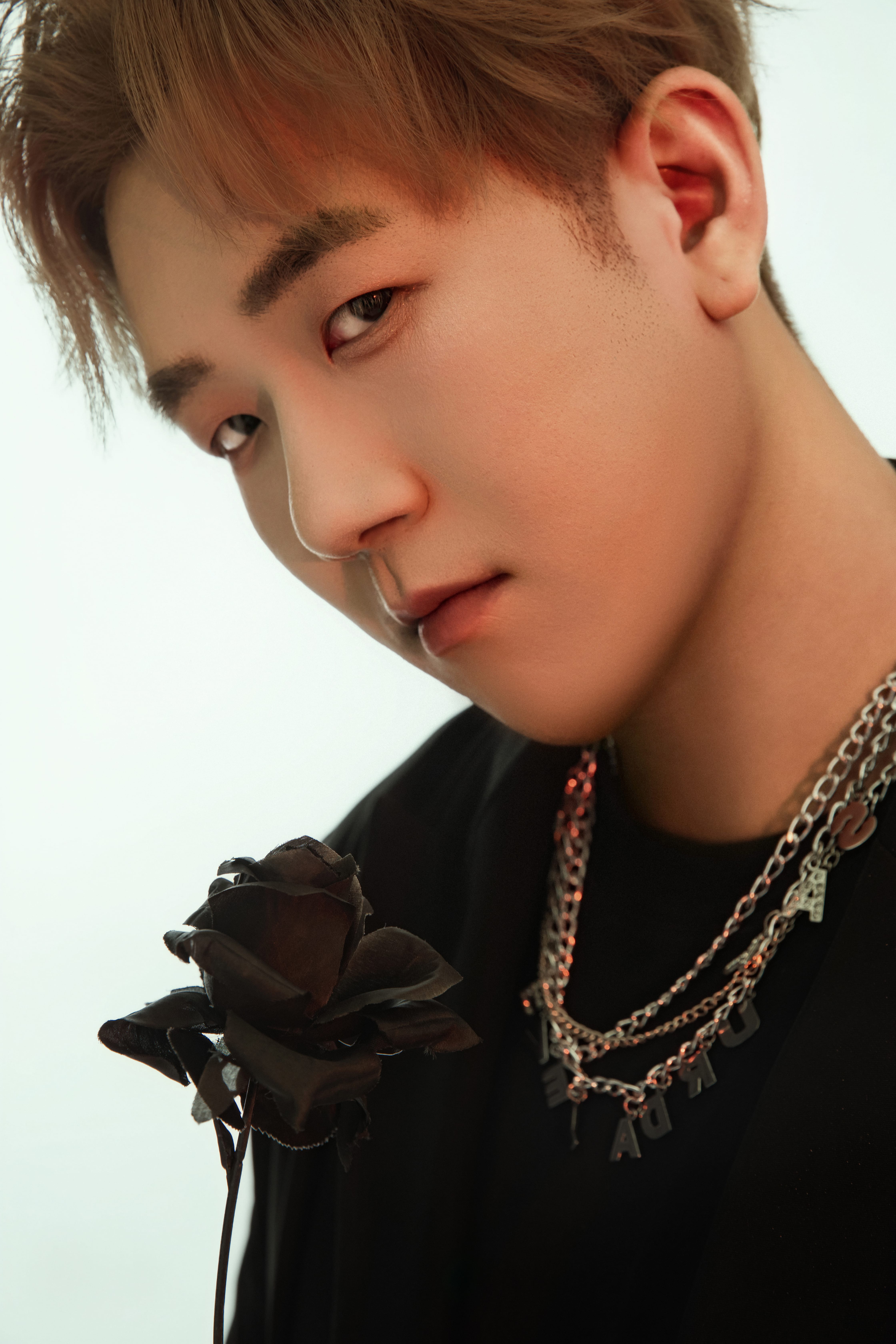 Close-up on a man holding a black rose, with emerald light highlighting the background.