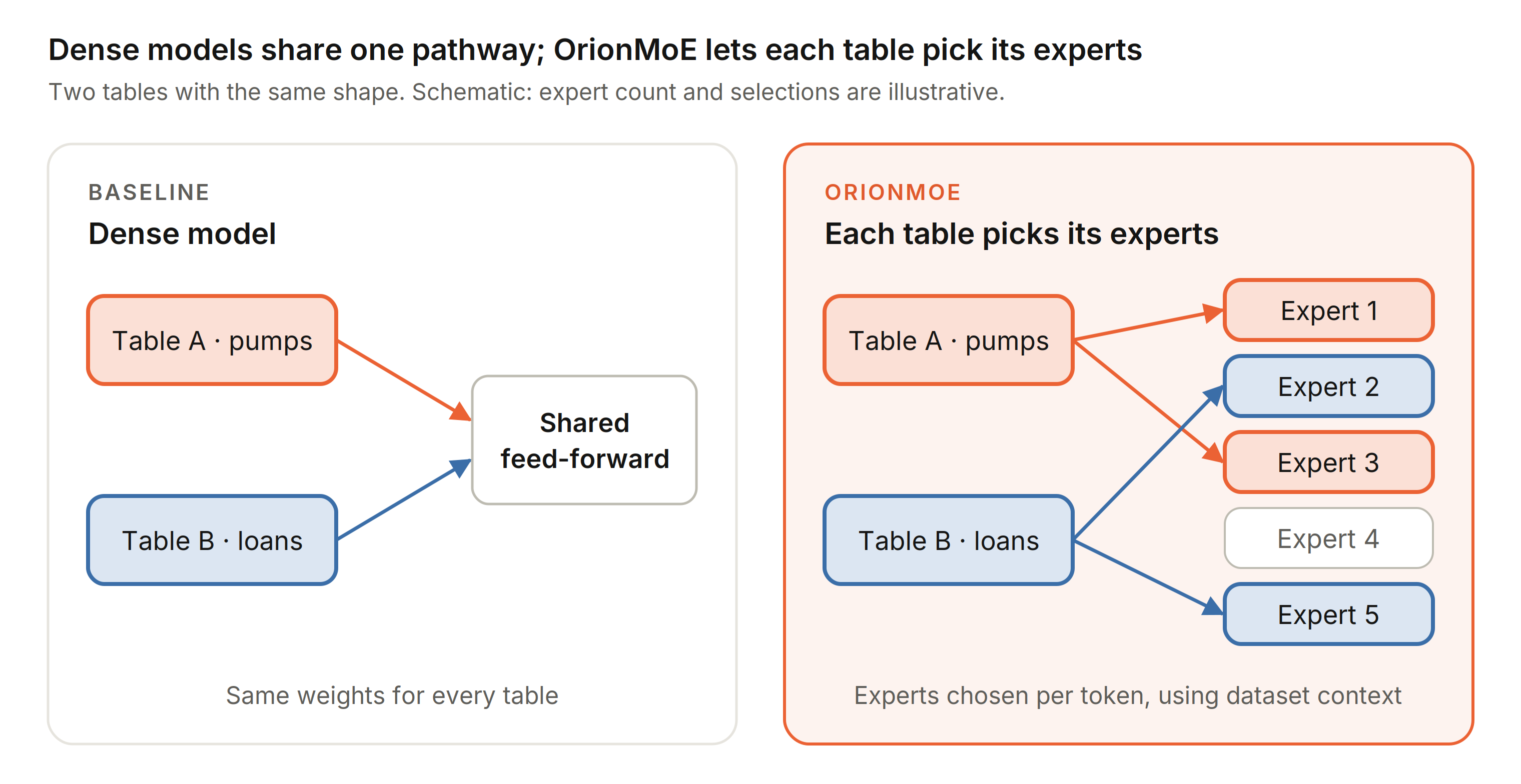 Dense model with one shared pathway versus OrionMoE where each table picks its experts
