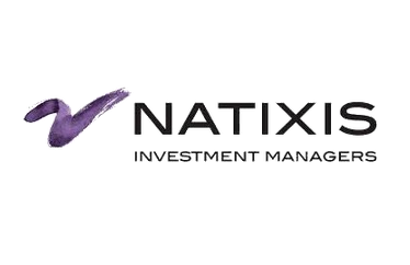 Natixis investment managers logo with a stylized purple checkmark symbol