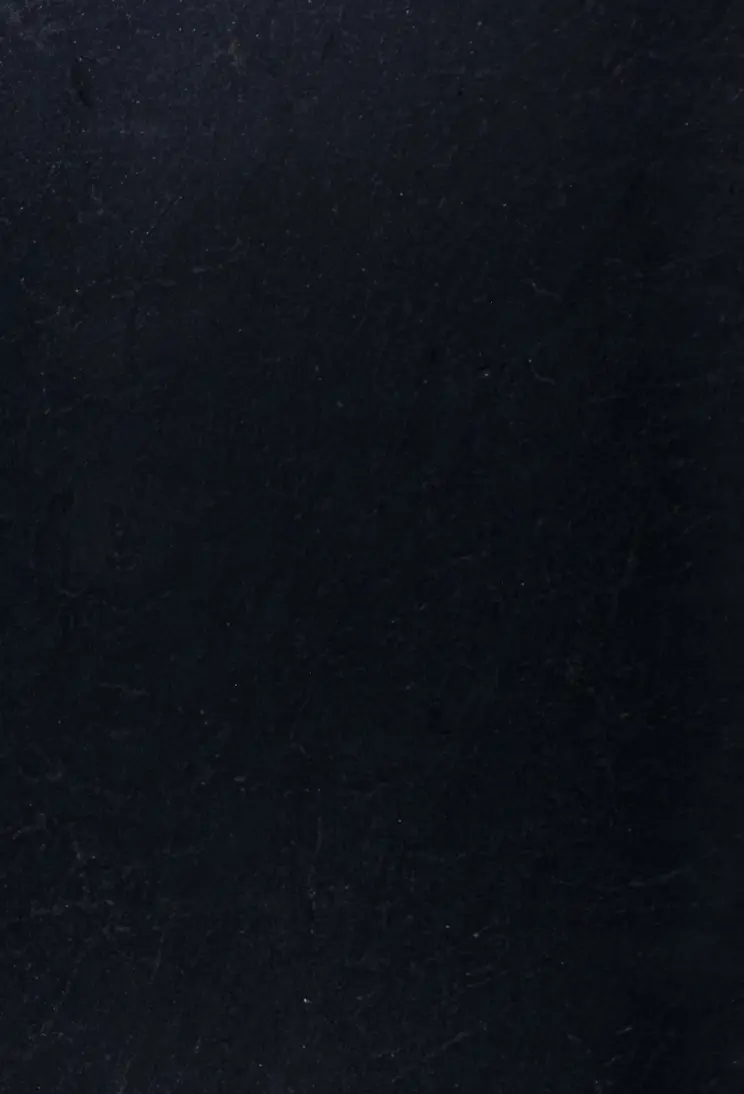 Chapa Granito Black Misty by Santo Antonio