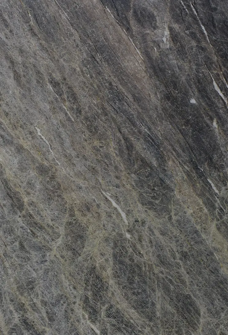 Cielo Quartzite Highlight
