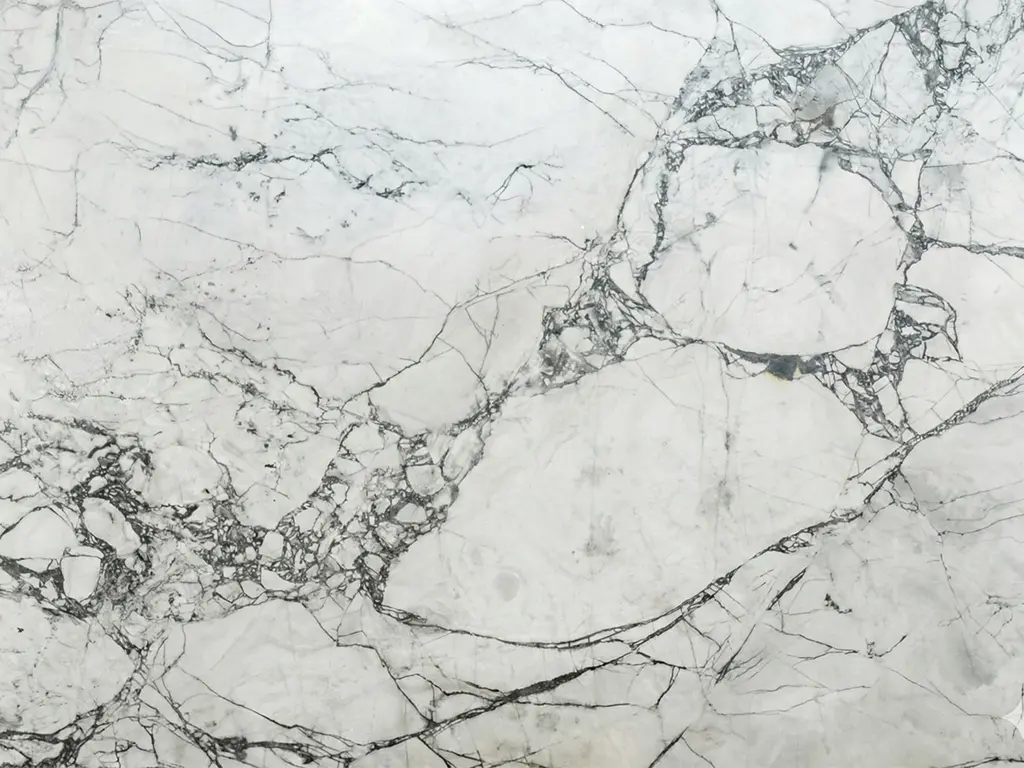 Chapa Mármore Calacatta Nandeva