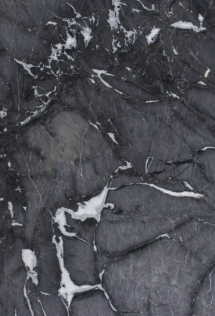 Grigio Michelangelo Marble Highlight