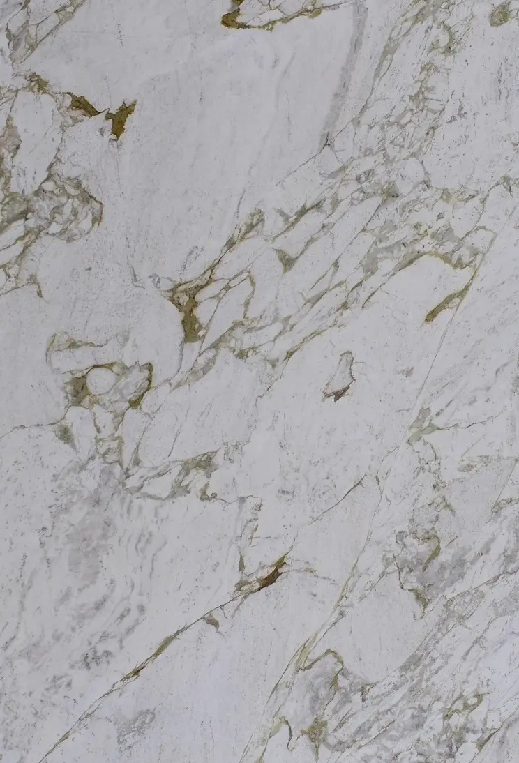 Calacatta Michelangelo Marble Highlight