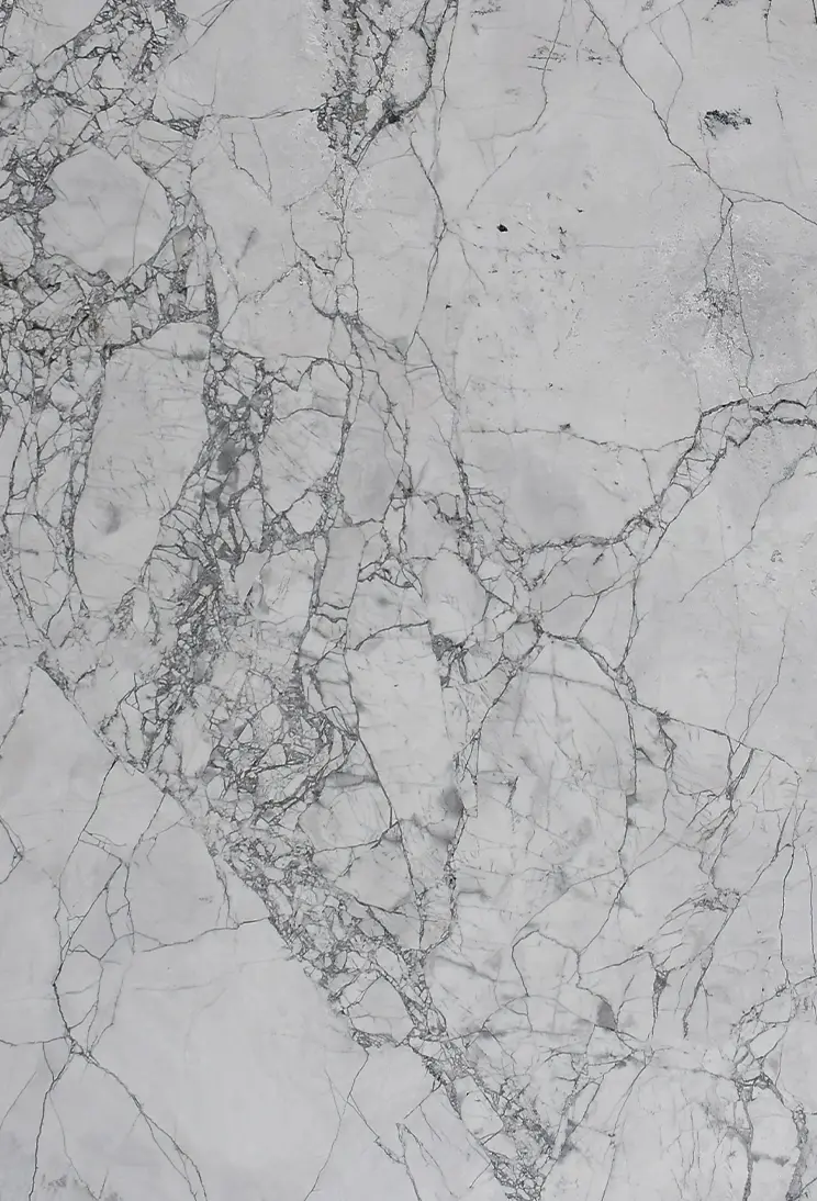 Calacatta Nandeva Marble Highlight