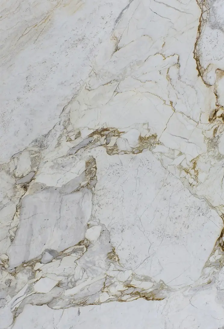 Michelangelo Nuvolato Marble