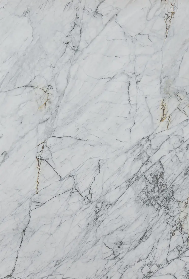 Michelangelo Prime Marble