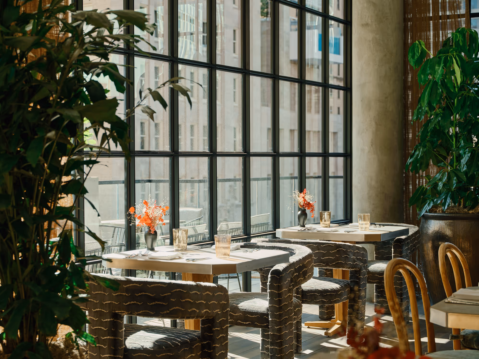 Contemporary dining room in Dallas, TX featuring patterned chairs, large windows, and greenery.