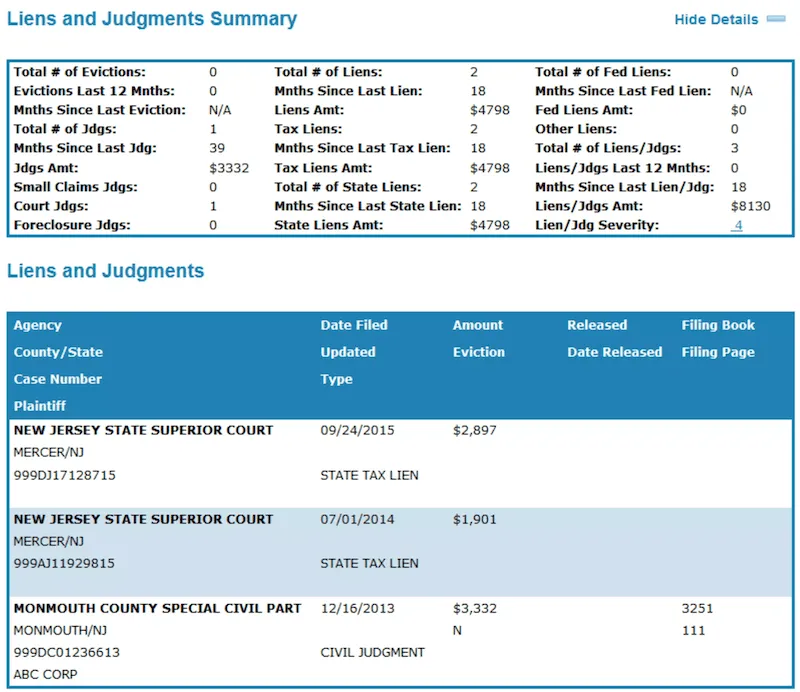 Liens and judgments summary