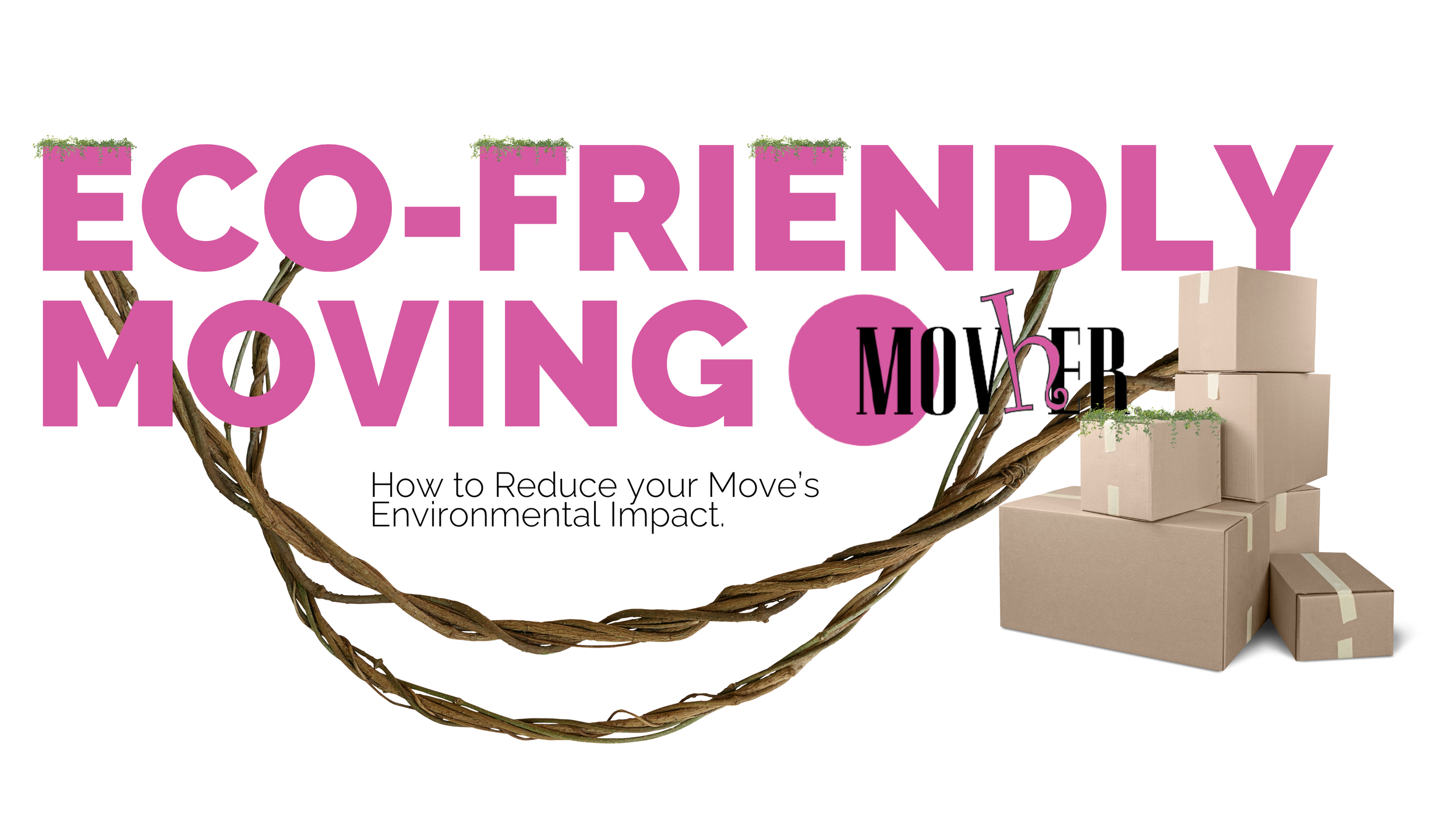 eco friendly moving service