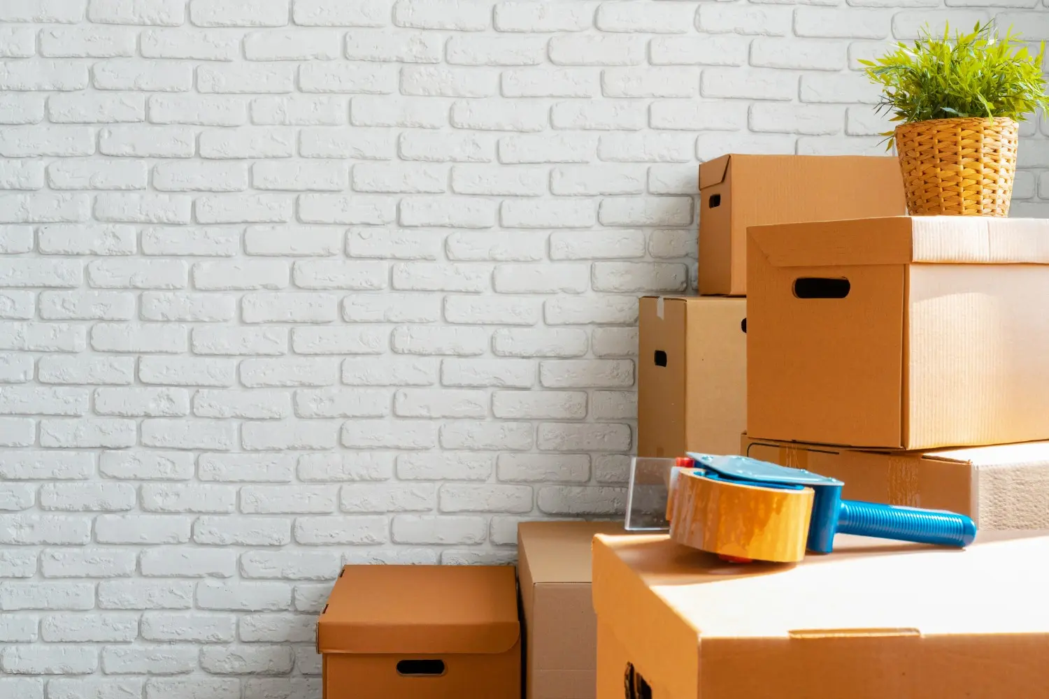 Stacked cardboard boxes against a white brick wall, with a blue tape dispenser and potted plant on top.