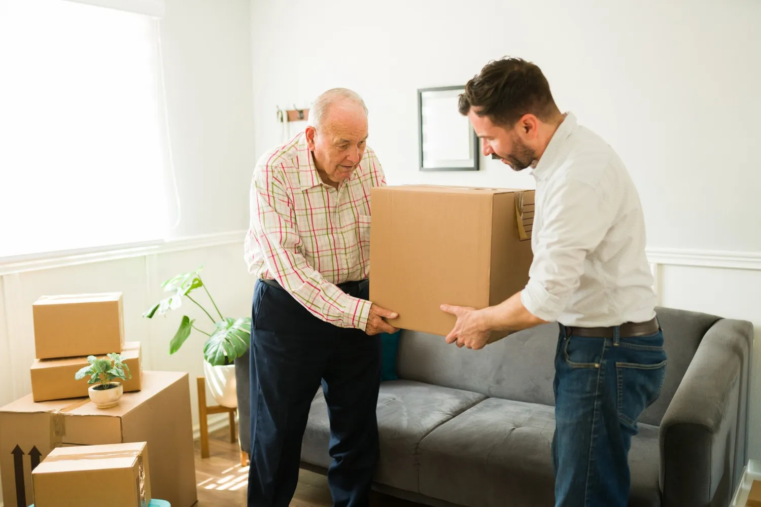 A professional mover assisting an elderly man with senior moving services by carefully carrying a cardboard box in a bright living room filled with packed items.