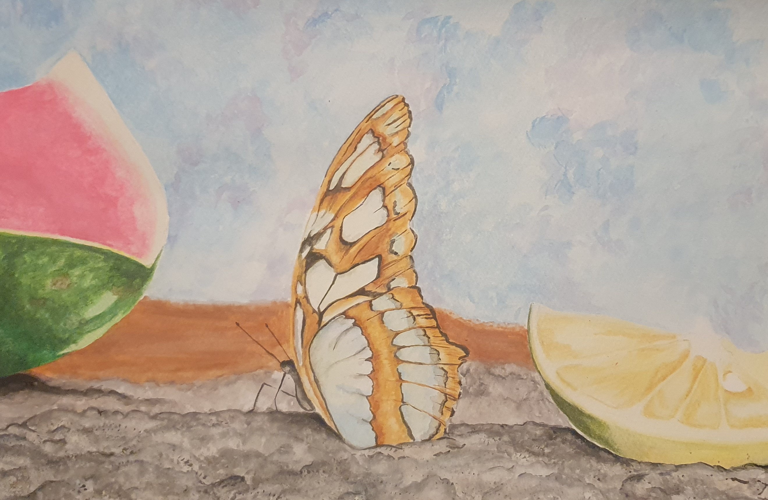 Orange and white butterfly resting on a textured surface between a watermelon slice and a lemon wedge.