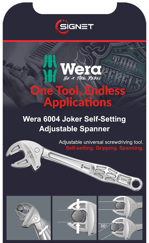 signet email campaign