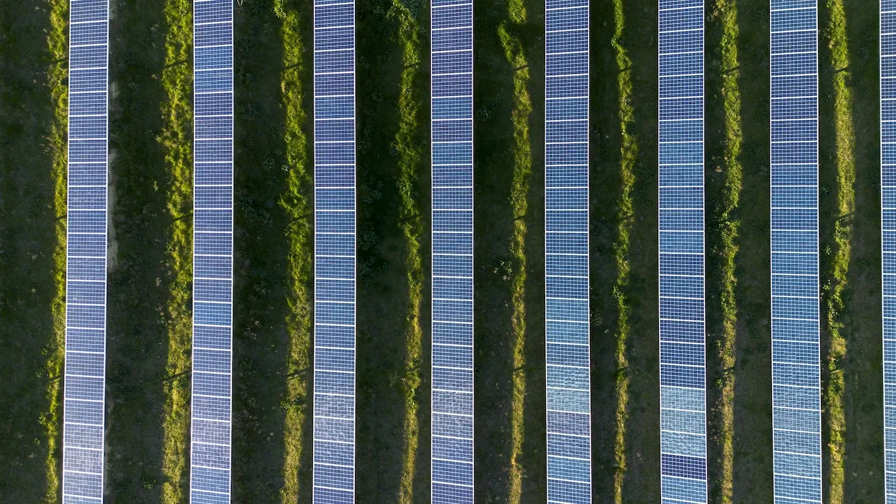 Aerial view of evenly spaced solar panels installed in rows over green grass.