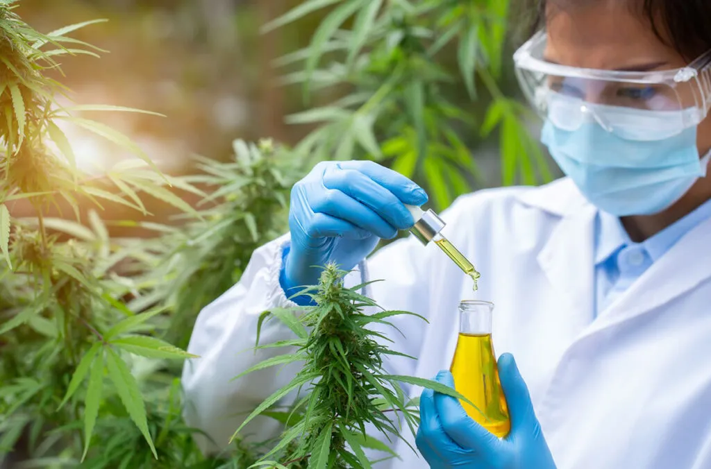 Scientist wearing protective gloves, mask, and goggles holding a dropper and a flask with yellow liquid next to cannabis plants.