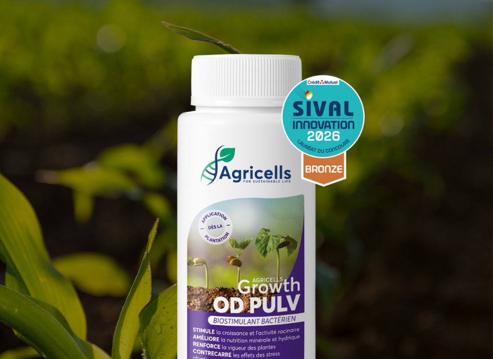 Agricells Growth OD PULV — Biostimulant