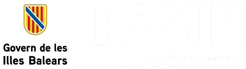 Logo mit einem Schild in Gelb, Rot und Blau neben dem Schriftzug ROAIB mit einem Schlüssel als Buchstabe A und dem Text Registre Oficial Agents Immobiliaris Illes Balears.