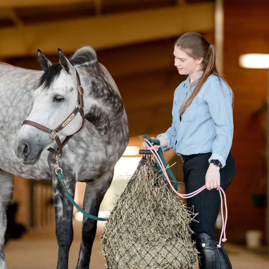 Hay Chix - Half Bale Hay Net