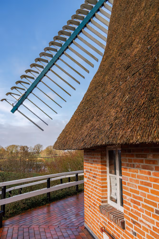 Das Reetdach einer Mühle vor strahlend blauem Himmel