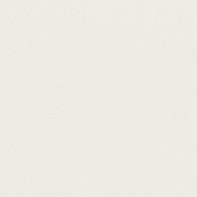 Coloris blanc fine structure, RAL 9016