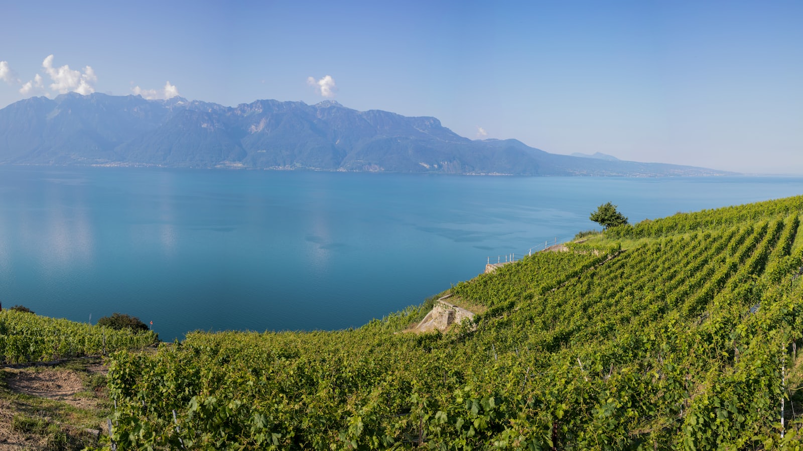 Vignobles de Lavaux et lac Léman, Suisse romande