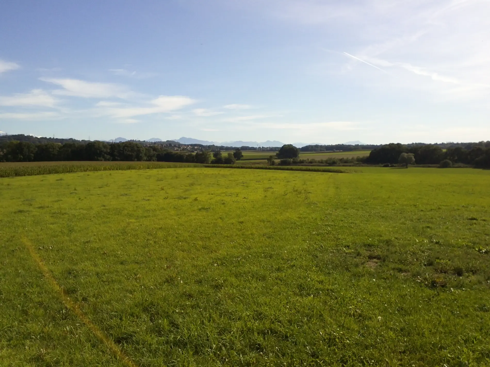 Paysage du Gros-de-Vaud aux environs d’Échallens, avec les Alpes à l’horizon.